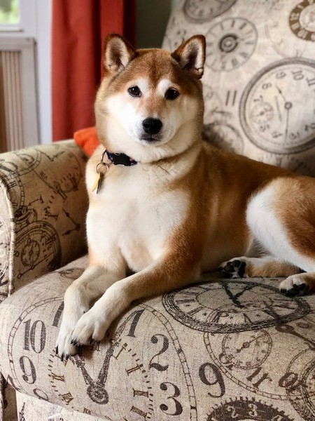 Kita