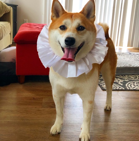 Yuki