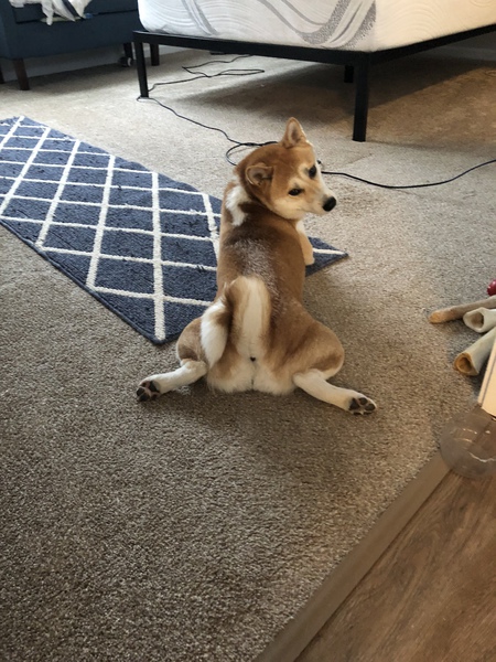 Yuki