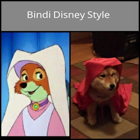 Bindi