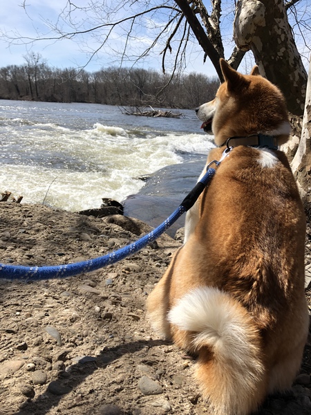 Yuki