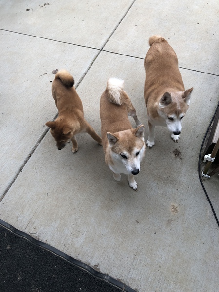 Peach, Daisy and Kairi