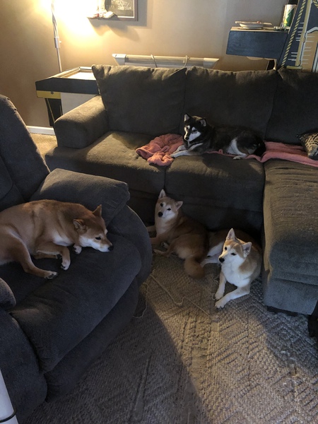 Raven, Peach, Daisy and Yoshi
