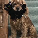 Entry image for Bishop 