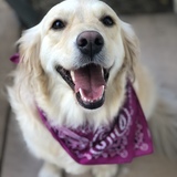 Entry image for Chloe