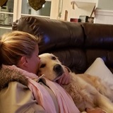 Entry image for Bailey