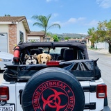 Entry image for Murray and Flint 