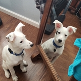 Entry image for Luke