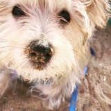 Entry image for Jack