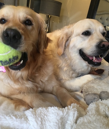 Entry image for  Cassie and Bo. Clicking this image will show a larger photo