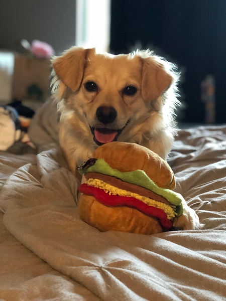 Entry image for Holly. Clicking this image will show a larger photo