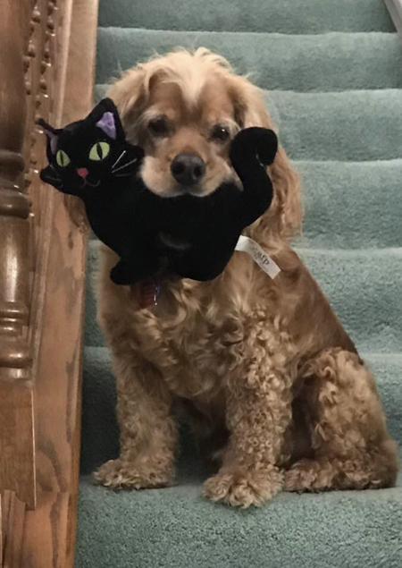 Entry image for Bishop . Clicking this image will show a larger photo