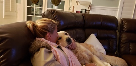 Entry image for Bailey. Clicking this image will show a larger photo