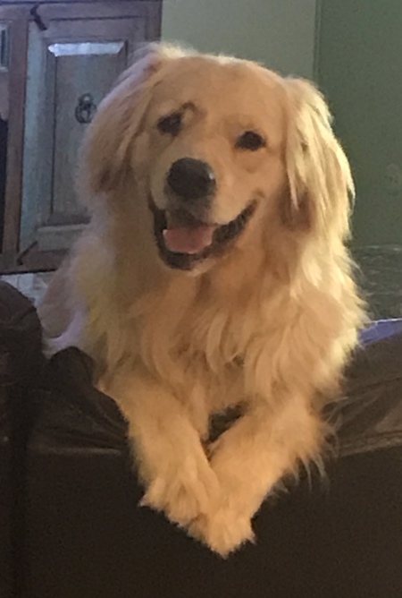 Entry image for Joey Baga Donuts. Clicking this image will show a larger photo