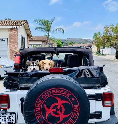 Entry image for Murray and Flint . Clicking this image will show a larger photo