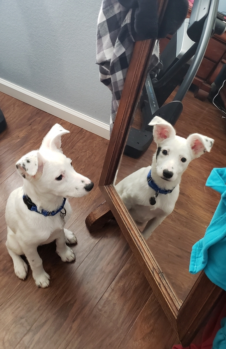 Entry image for Luke. Clicking this image will show a larger photo