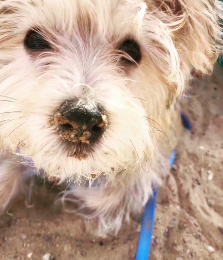 Entry image for Jack. Clicking this image will show a larger photo