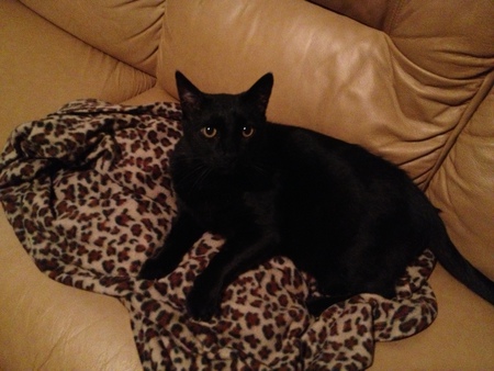 Otis Diablo