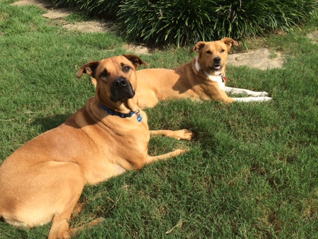 Frankie and Vito
