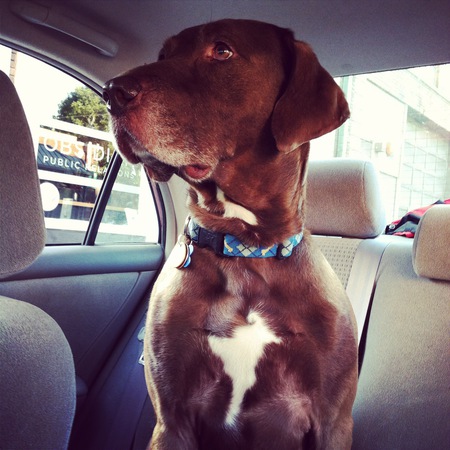 Beauregard