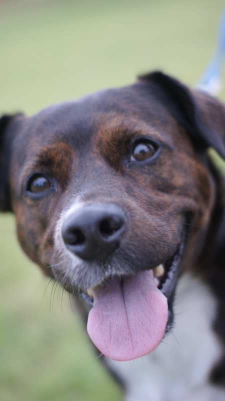Memphis (a.k.a. "Bubba")