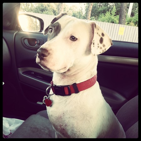 Petey