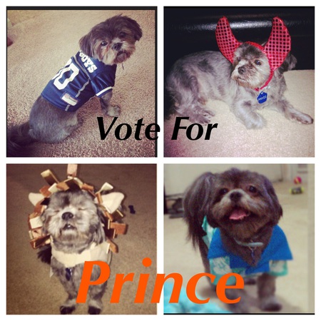 Prince