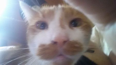 Flynn 