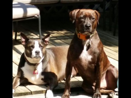 Jasmine and skylar