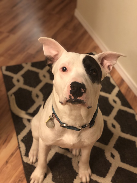 Tank