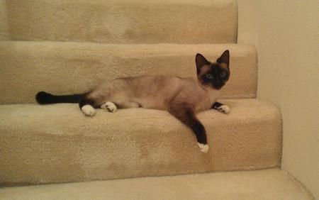 Missy