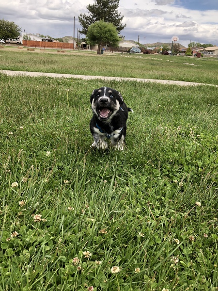 Zeus