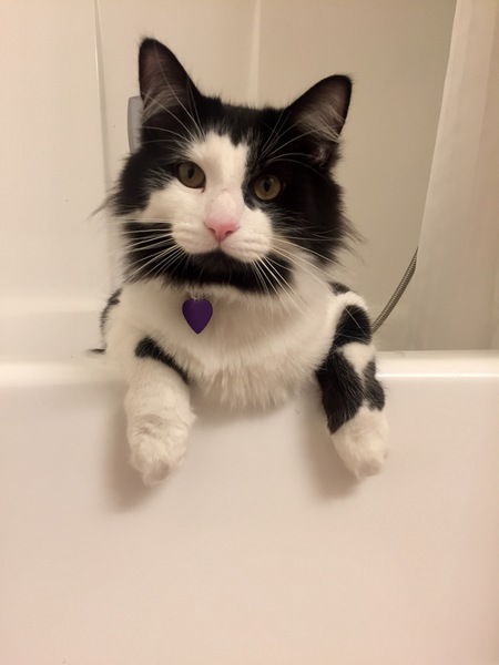 Max