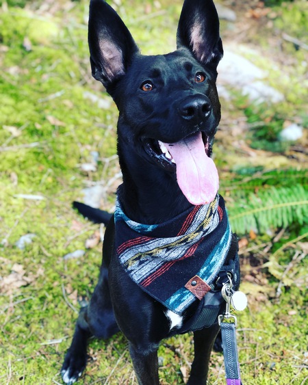 Ava