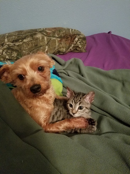 Rusty & Java