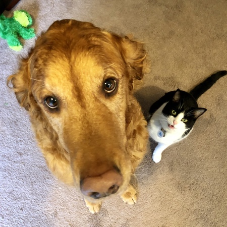 Nugget & Mattie