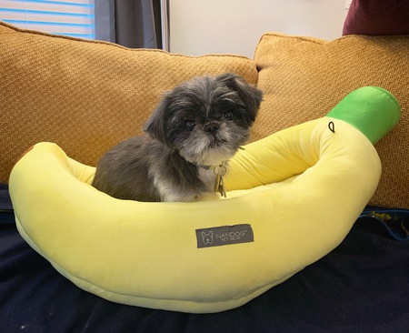 Hannah Banana
