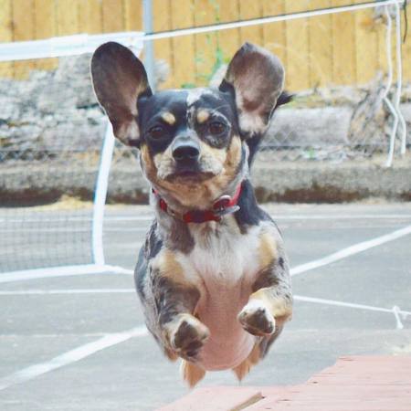Molly