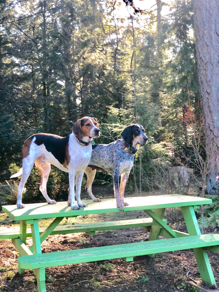 Lincoln & Lady Bird