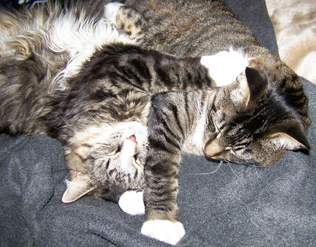 Nahla & D