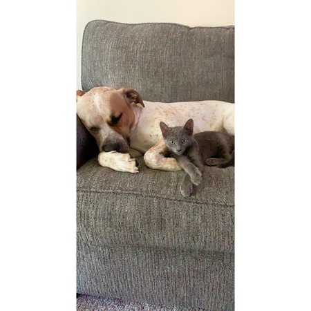 Mac&Nala