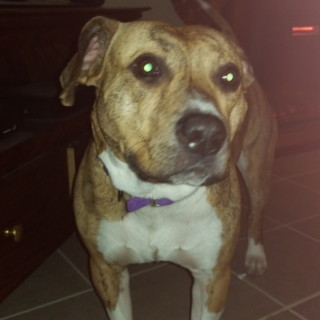 Zeus