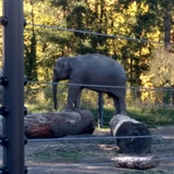 Entry image for Silly girl