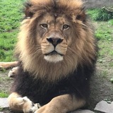 Entry image for Mesmerizing Zawadi Mungu