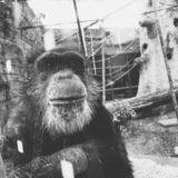 Entry image for Perspective 