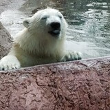 Entry image for I'll clean my side