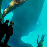 Entry image for Who's Watching Who