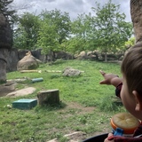 Entry image for Wow!