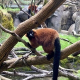 Entry image for Hello there!