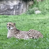 Entry image for Sitting Pretty 